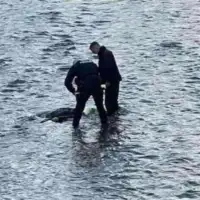 vilsonovo setaliste miljacka bezivotno tijelo