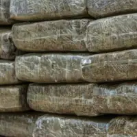 Droga granica zaplijena 768x432