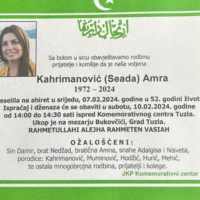 Azra kahrimanovic citulja 872x610