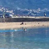 Kupanje zaplivali u Dubrovniku februar SeeSrpska
