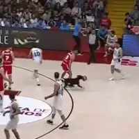 Kosarka Pas