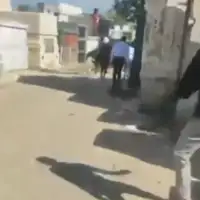 Haiti sukobi