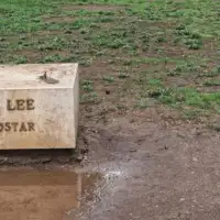 Bruce lee nestanak park 3 768x433