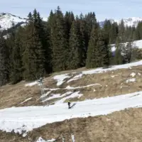 Alpe epa