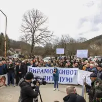 Sipovi protesti