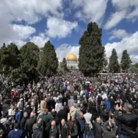 Alaksi 80000 palestinaca AA