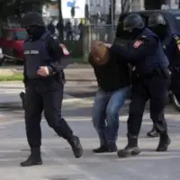 Željko Kecman-ilustracija