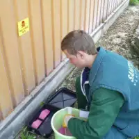 Sistemska deratizacija uradjena prije skoro pet godina sarajlijama prijete glodari i zohari 1425514454