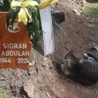 macka mezar abdulah sidran
