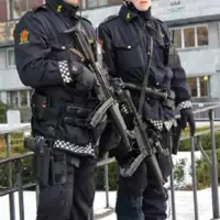 Policija norveska