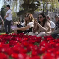 Tulipani istanbul 1 872x610 AA