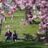 proljece sarajevo AA