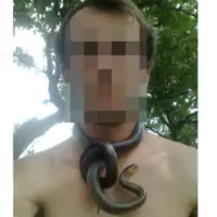 Ingo Bambi Simbad Bajrektarević