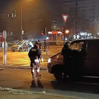 Ubistvo otoka Faris Pendek