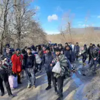 Migranti FENA