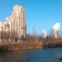 Zenica fena