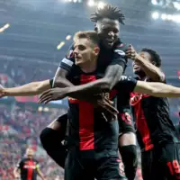 Bayer ROM06