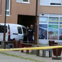 tuzla ubistvo zena dvoj djece tuzlanski ba