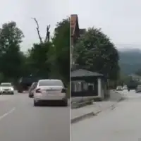 Srebrenica Despot