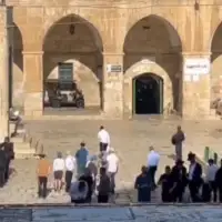izrael  Izraelski doseljenici provalili u džamiju Al Aqsa Screenshot 358