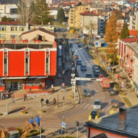 Velika kladusa