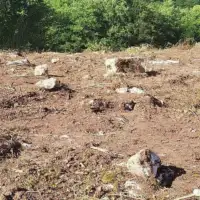 Foča stećci Historija