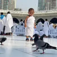 Hadz 2024 etto