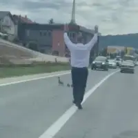 vogošća pacici foto nedim botic
