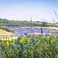 Solarna elektrana priroda IZVOR: PROFIMEDIA