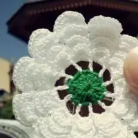 Srebrenicki cvijet