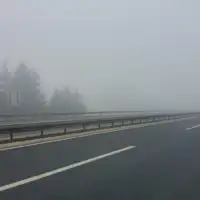 Bihamk magla/ Bihamk