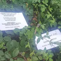 ekshumacija/ INO BIH