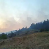 Požar Poljice/ Srna