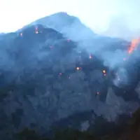 Pozar Tjentiste foca Nacionalni park Sutjeska