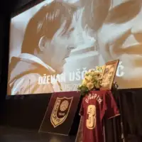 Dženan Uščuplić