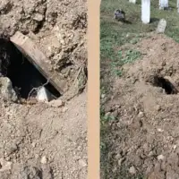 medvjedi iskopali mezare prusac foto  Bugojno danas