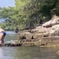 IMG 0713