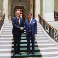Švedska Denis Bećirović
