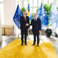 denis becirovic Tobias Billström svedska