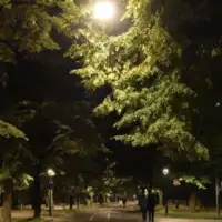 Vilsonovo šetalište