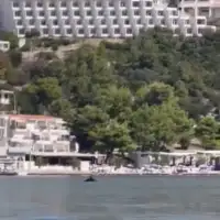 Neum delfin