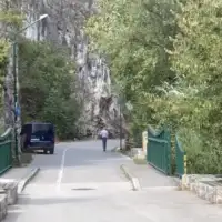 Dariva