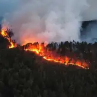 Maglaj požar