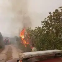 Ljubinje i Stolac Požar