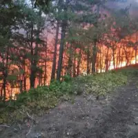 Rudo požar