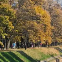 Miholjsko ljeto