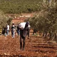 Palestina
