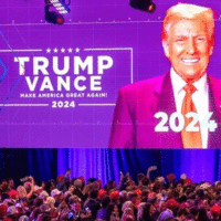 Donald Trump x