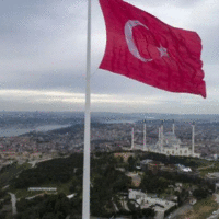 757z468 turska i hamas