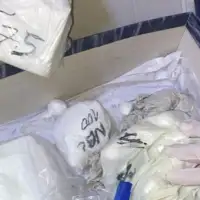 Srbija Beograd cacak hapsenje Tanjug